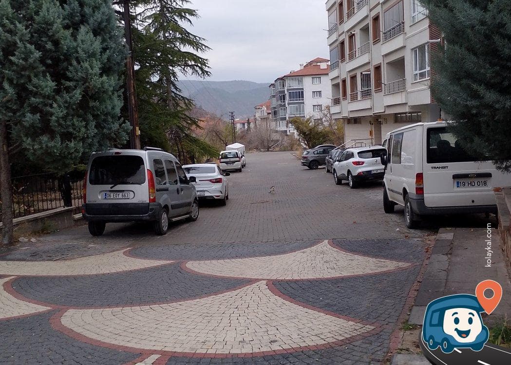 Nallıhan Küçük Park Yanı Ücretsiz Otopark ve Kamp Alanı - Ankara, foto 1