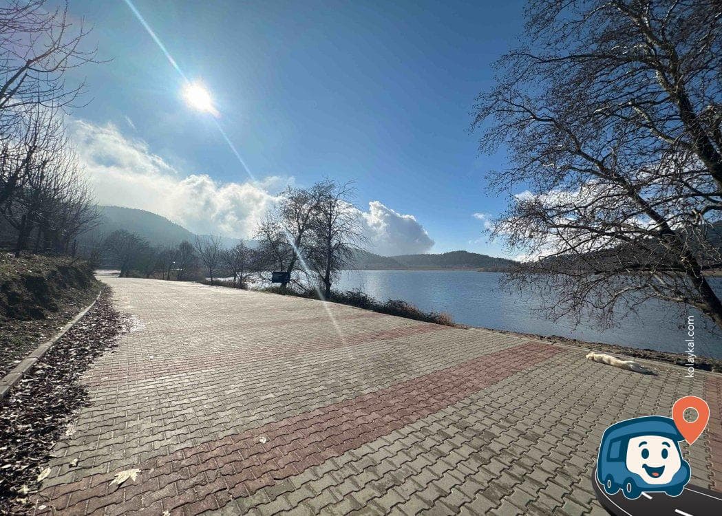 Ödemiş Gölcük Piknik Alanı - İzmir, foto 3