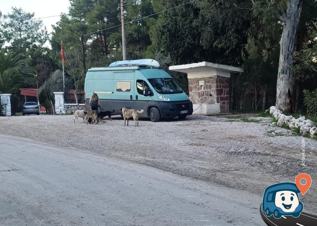 Ücretsiz Su Çeşmesi - Milas, Muğla, foto 3