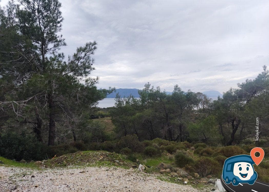 Sakin Kamp Alanı - Marmaris, Muğla, foto 1
