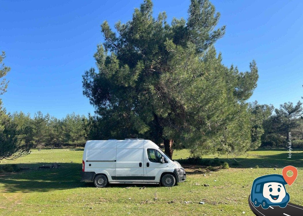 Doğa İçinde Sakin Kamp Alanı - Buca, İzmir, foto 1