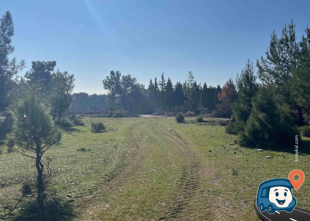Doğa İçinde Sakin Kamp Alanı - Buca, İzmir, foto 2