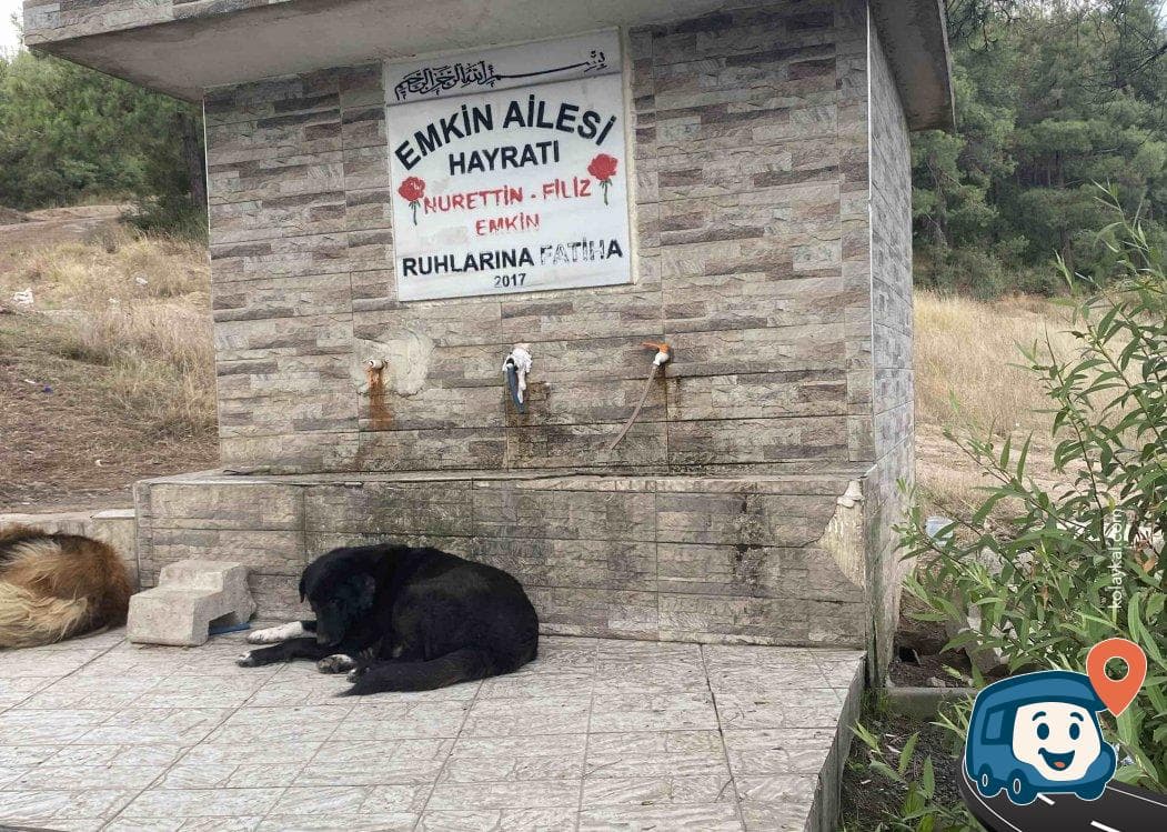 Maltepe Köyü Temiz İçme Suyu Kaynağı - İstanbul, foto 1