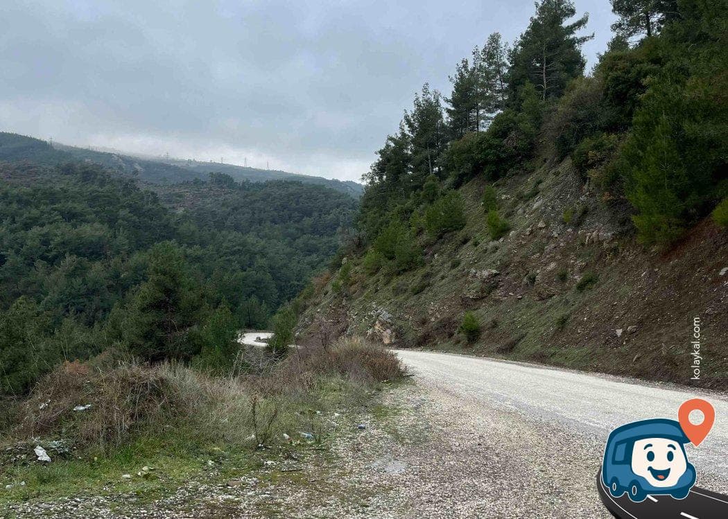 Manisa Dağlarında Sakin Kamp Alanı - Yunusemre, foto 3