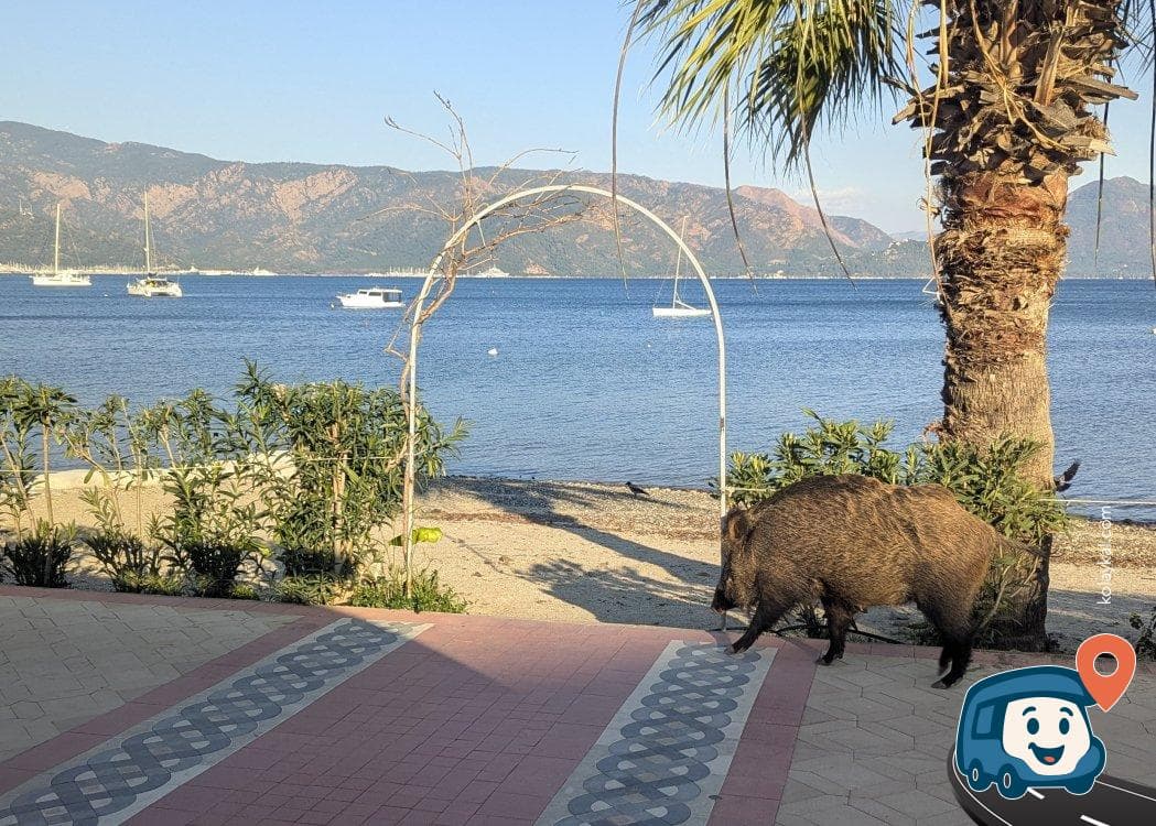 Siteler Ücretsiz Otopark ve Kamp Alanı - Marmaris, Muğla, foto 5