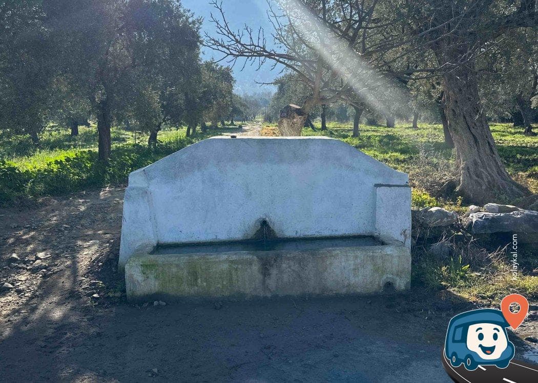 Selçuk Gökçealan Doğal Su Kaynağı - İzmir, foto 2