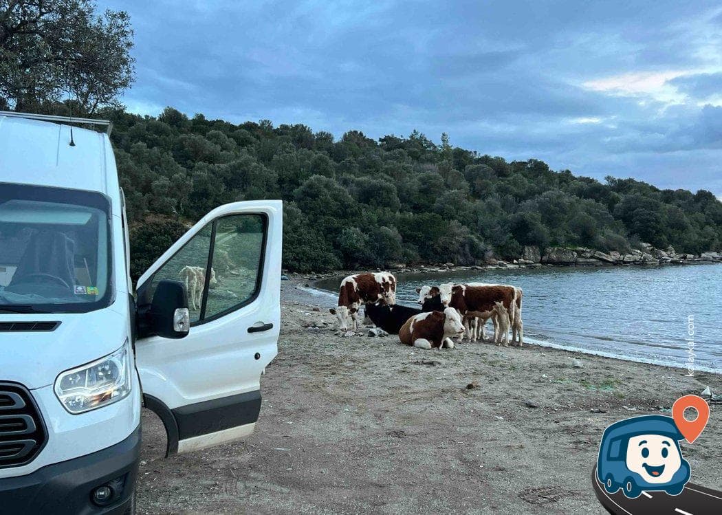 Küçük Kumsalda Saklı Cennet Kamp Alanı - Milas, Muğla, foto 2