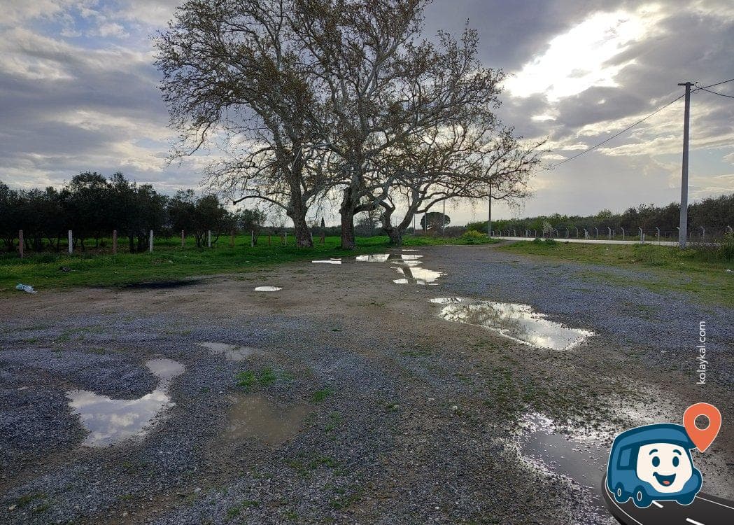 Efendi Mahallesi Kamp Alanı - Akhisar, Manisa, foto 1