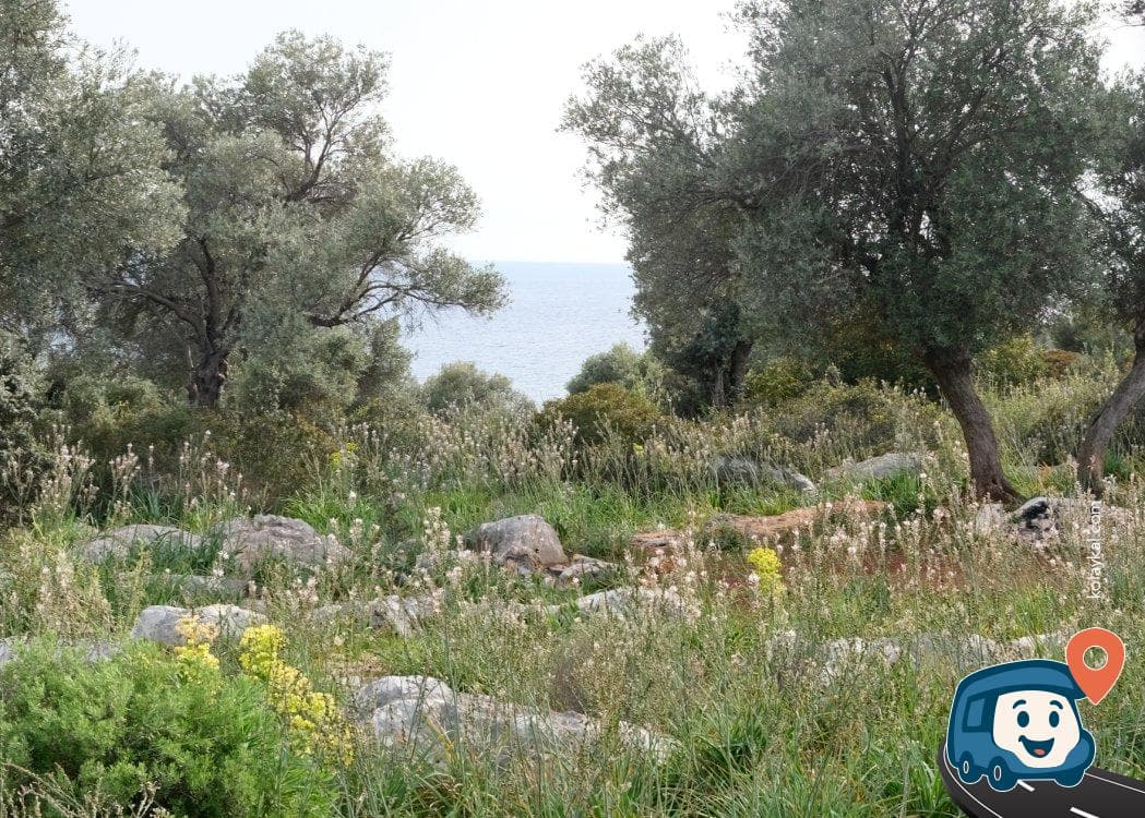 Kaş Yakınlarında Su Kaynağı ve Mola Yeri - Demre, Antalya, foto 3