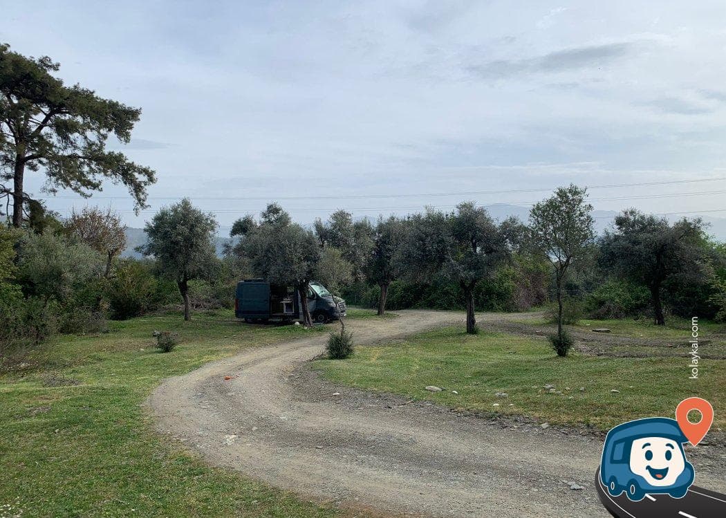 Marmaris Zeytinlik Yolu Kamp Alanı - Köyceğiz, Muğla, foto 2