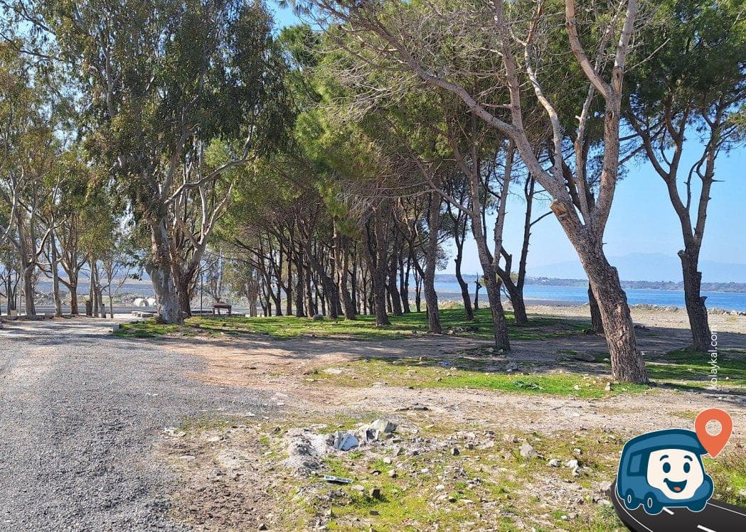 Gölgeli Ücretsiz Mangal Yeri - Aliağa, İzmir, foto 6