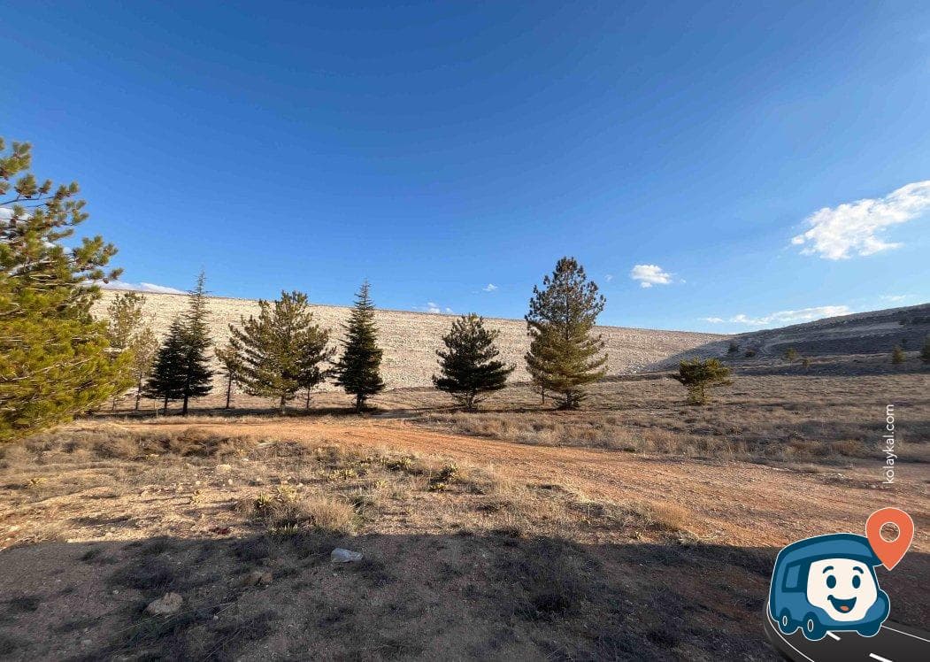 Little Forest - Karaman Merkez, Karaman, foto 1