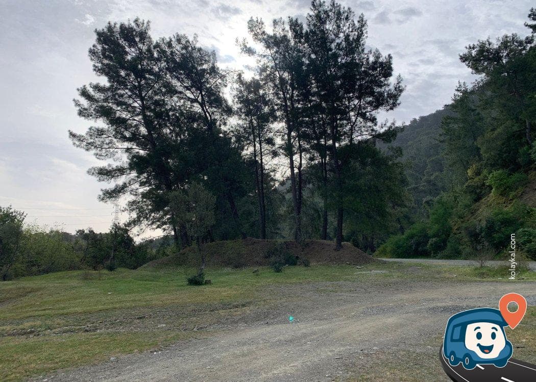 Marmaris Zeytinlik Yolu Kamp Alanı - Köyceğiz, Muğla, foto 1