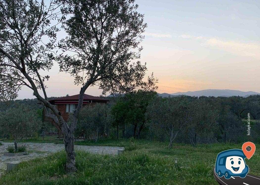 Oli Camping - Edremit, Balıkesir, foto 10