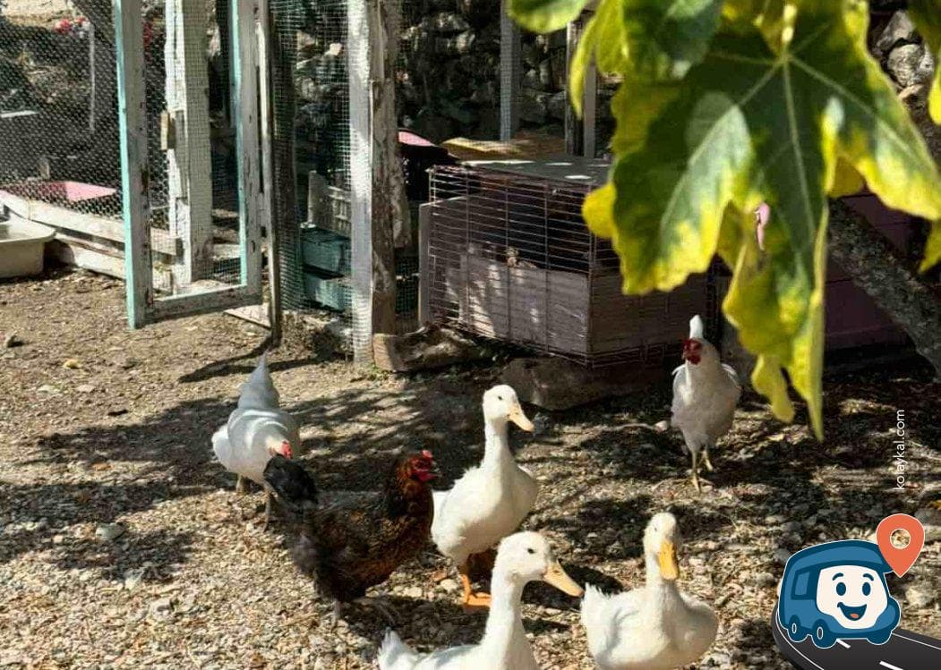 Urla Karavan Parkı - İzmir, foto 3