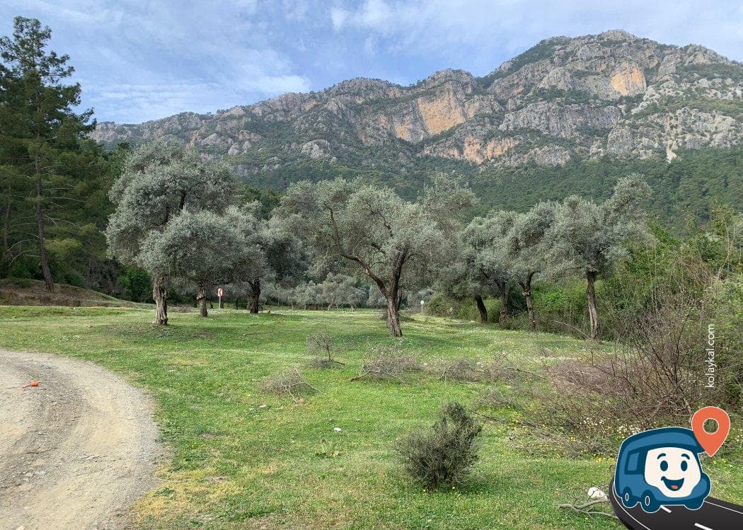 Marmaris Zeytinlik Yolu Kamp Alanı - Köyceğiz, Muğla, foto 3