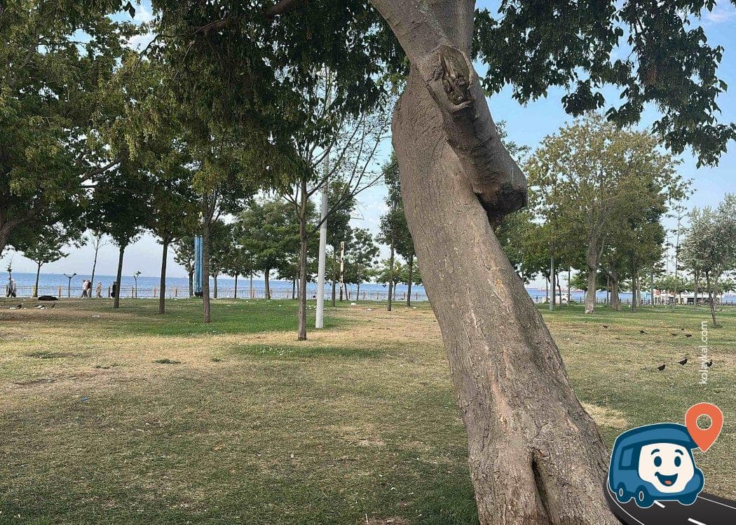 İspark Yenikapı Tünel Üstü Açık Otoparkı - Fatih, İstanbul, foto 3