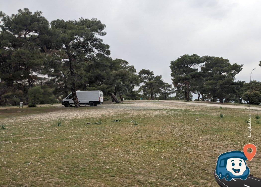 Kahramanmaraş Pine Ormanı Piknik Alanı ve Kamp Yeri - Dulkadiroğlu, foto 1