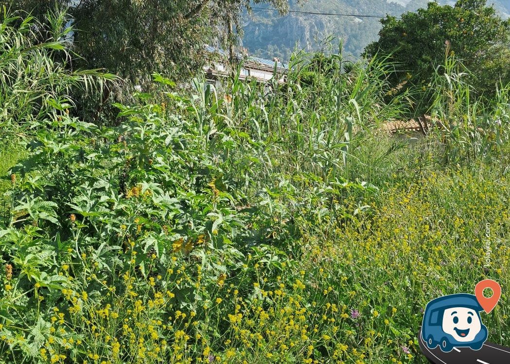 Akyaka Şehir Merkezi Karavan Park Yeri - Ula, Muğla, foto 1