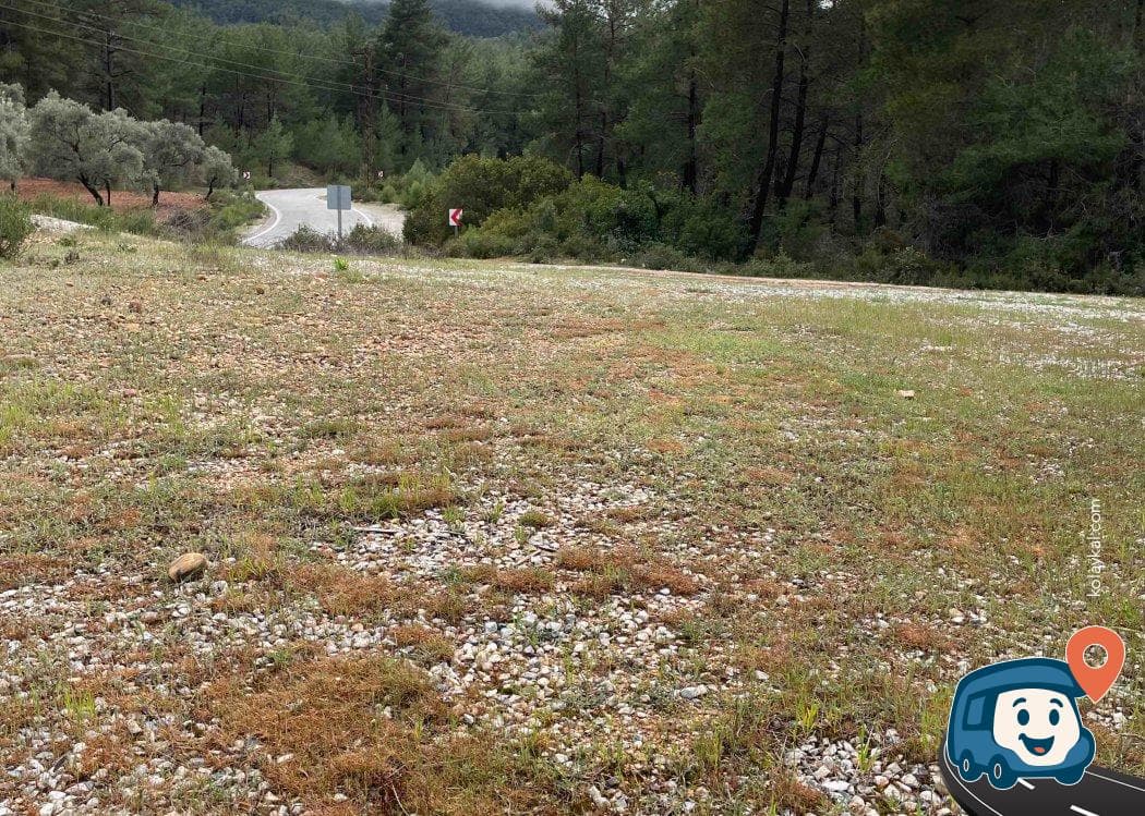 Akyaka Kultak Yolu - Milas, Muğla, foto 1