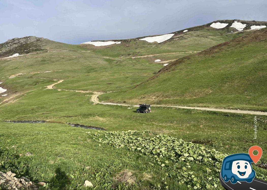 D915 Boyunca Çimenlik Alanlar - Aydıntepe, Bayburt, foto 4