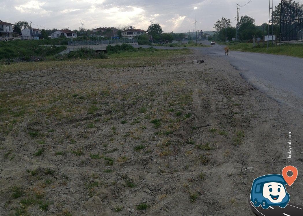 Orman Kenarı ve Çeşme Yanı Sakin Kamp Alanı - Silivri, İstanbul, foto 2