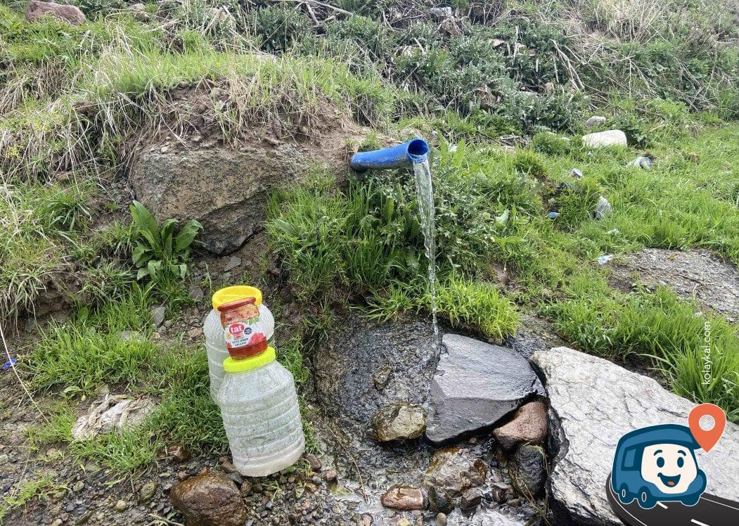 Su Kaynağı Yanı Kamp ve Dinlenme Alanı - Damal, Ardahan, foto 4