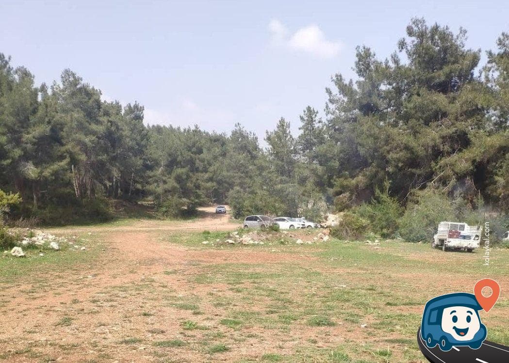 Mersin Piknik Alanı - Yenişehir, foto 2