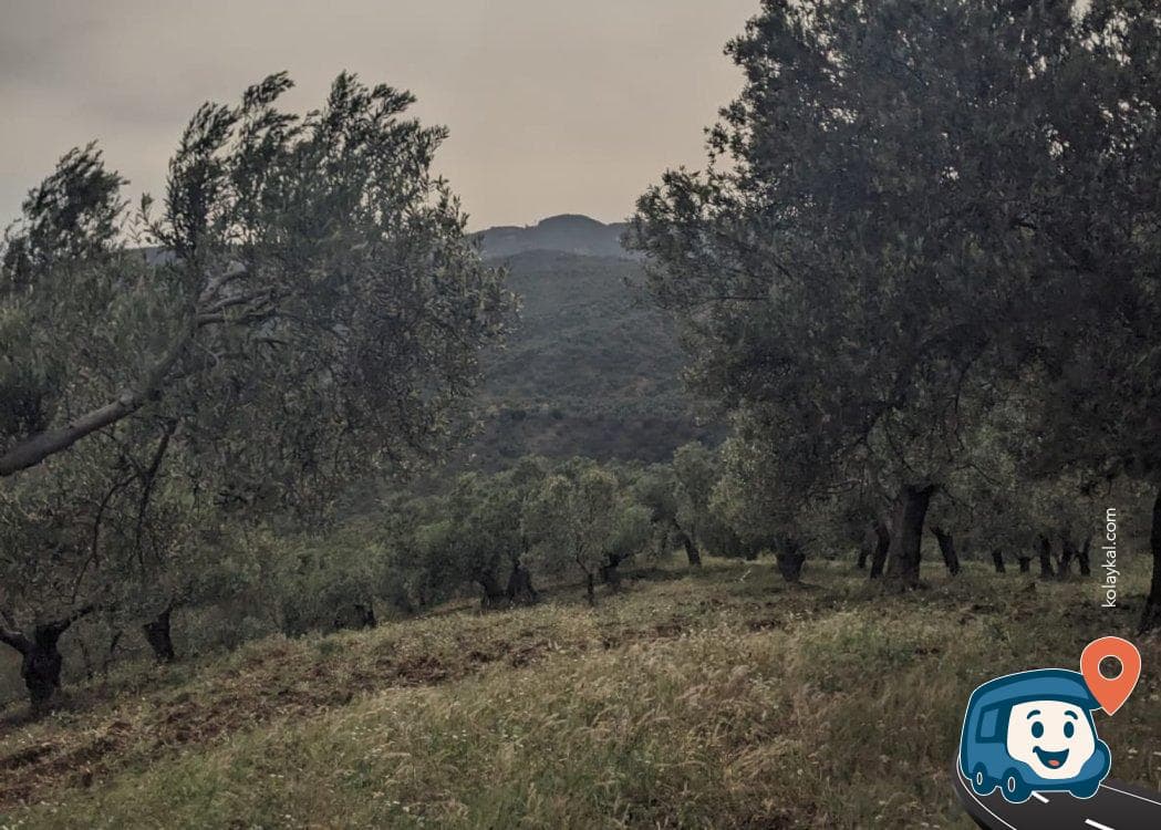 Adatepe Köyü Yolu Park Noktası - Ayvacık, Çanakkale, foto 3
