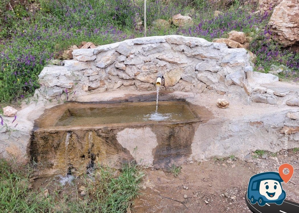Turunç Kamp Alanı - Marmaris, Muğla, foto 1