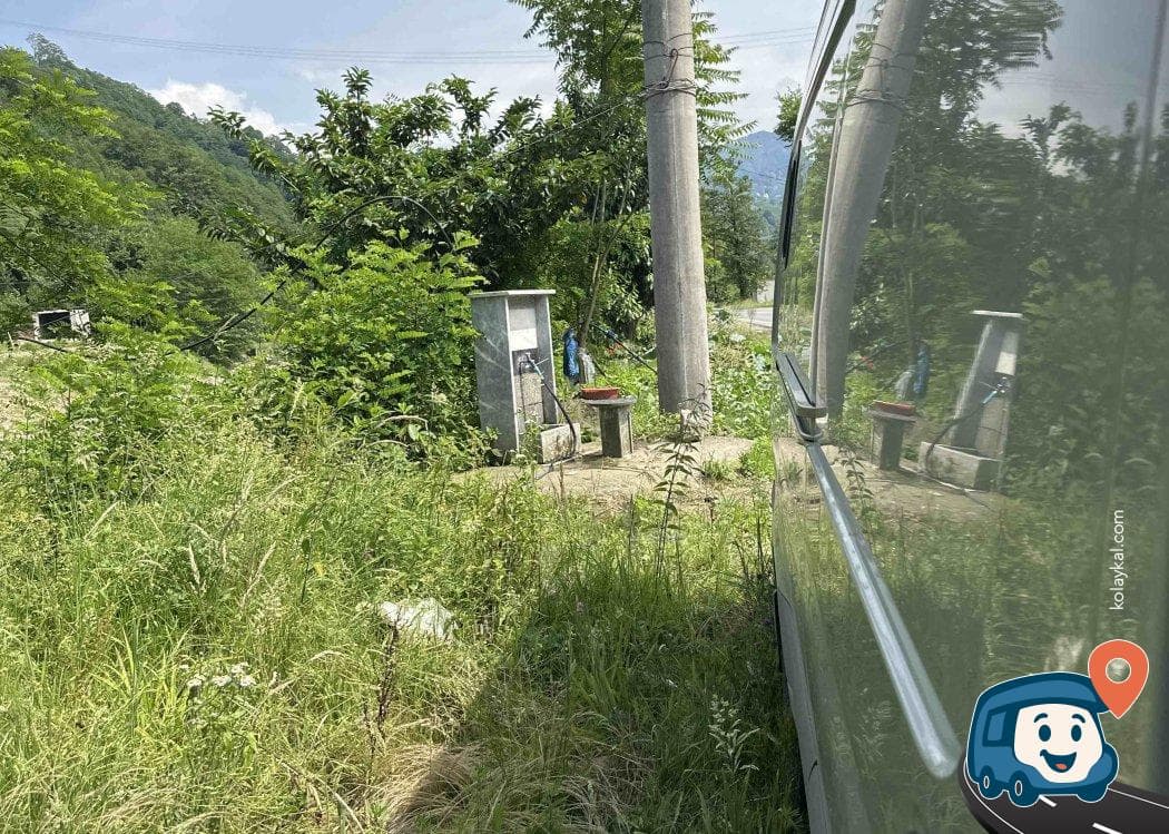 Piknik ve Servis Alanı - Çayeli, Rize, foto 3