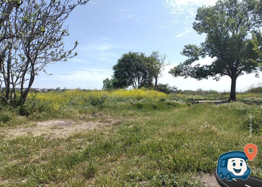 Tekirdağ Sahili Kamp ve Piknik Alanı - Marmaraereğlisi, foto 1