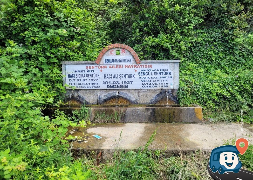 Soğuk Su Kaynağı ve Dinlenme Alanı İznik Gölü - Karacabey, Bursa, foto 1