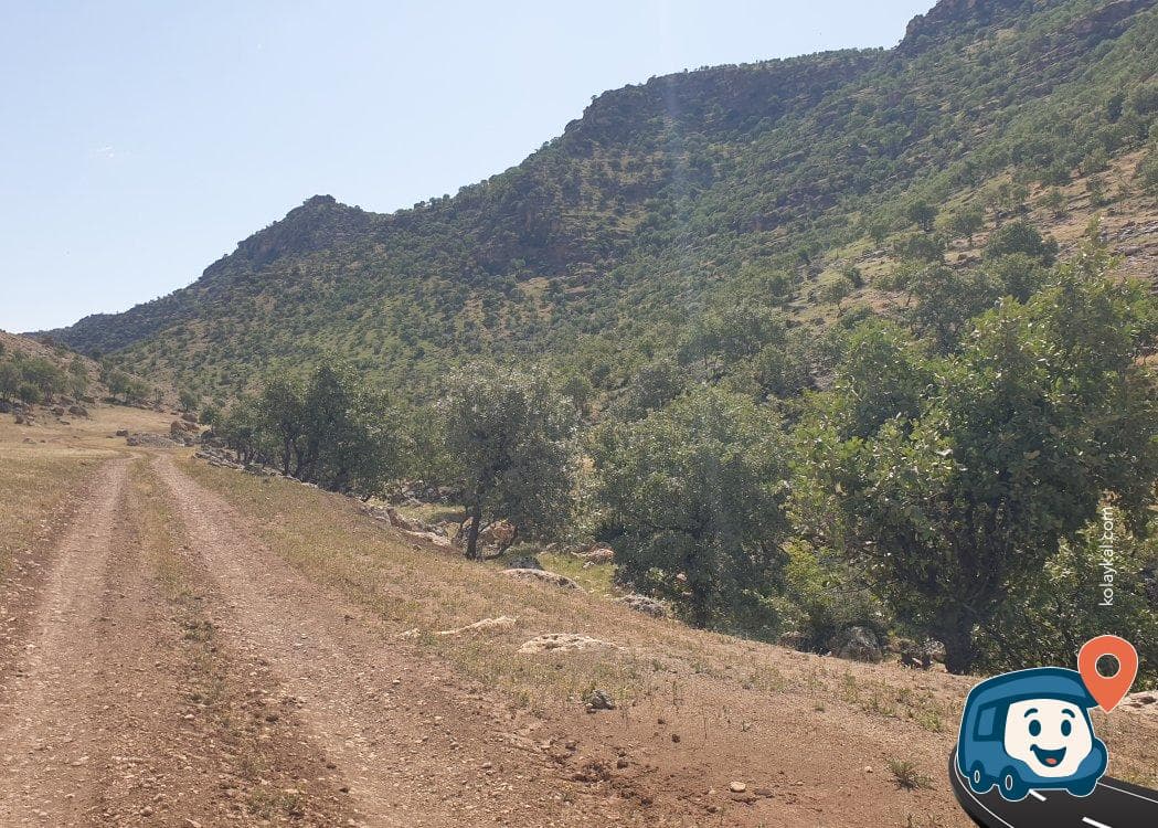 Şırnak Vadisi Kamp Alanı - Midyat, Mardin, foto 1