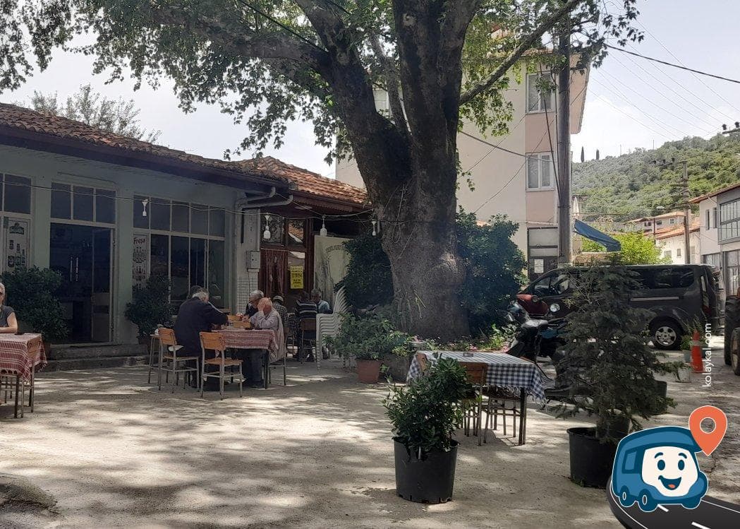 Bozüyük Köy Meydanı Kamp Alanı - Menteşe, Muğla, foto 1