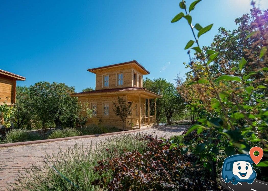 Ildırı Plajı Kamp Alanı - Urla, İzmir, foto 1