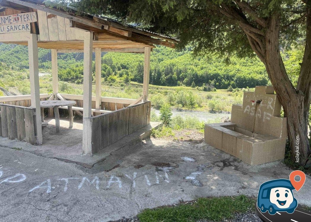 Şavşat Yakınları Yol Kenarı Park Alanı - Artvin, foto 6