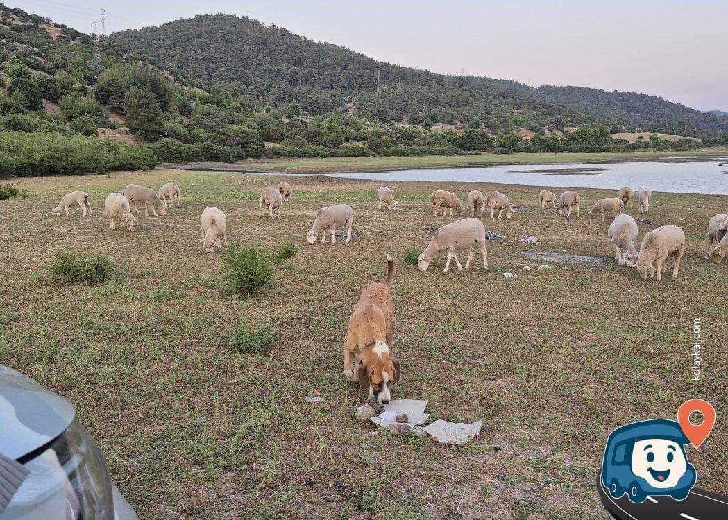 Gelibolu Yarımadası Göl Manzaralı Kamp Alanı - Çanakkale Merkez, Çanakkale, foto 3