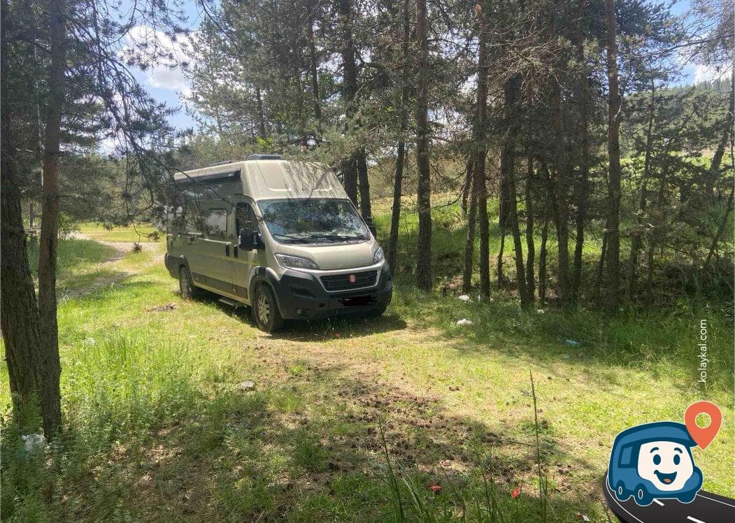 D750 Yakınındaki Ağaçlık Piknik ve Kamp Alanı - Kızılcahamam, Ankara, foto 4