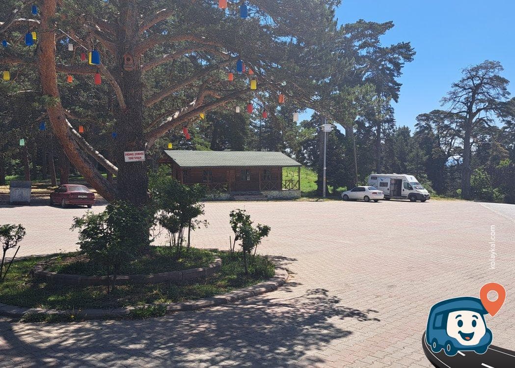 Ilgaz Kayak Merkezi Yakını Ücretsiz Kamp Alanı - Gerede, Bolu, foto 2