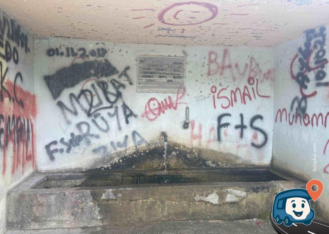 Gümüşhane Köy Çeşmesi ve Su Kaynağı - Gümüşhane Merkez, foto 3