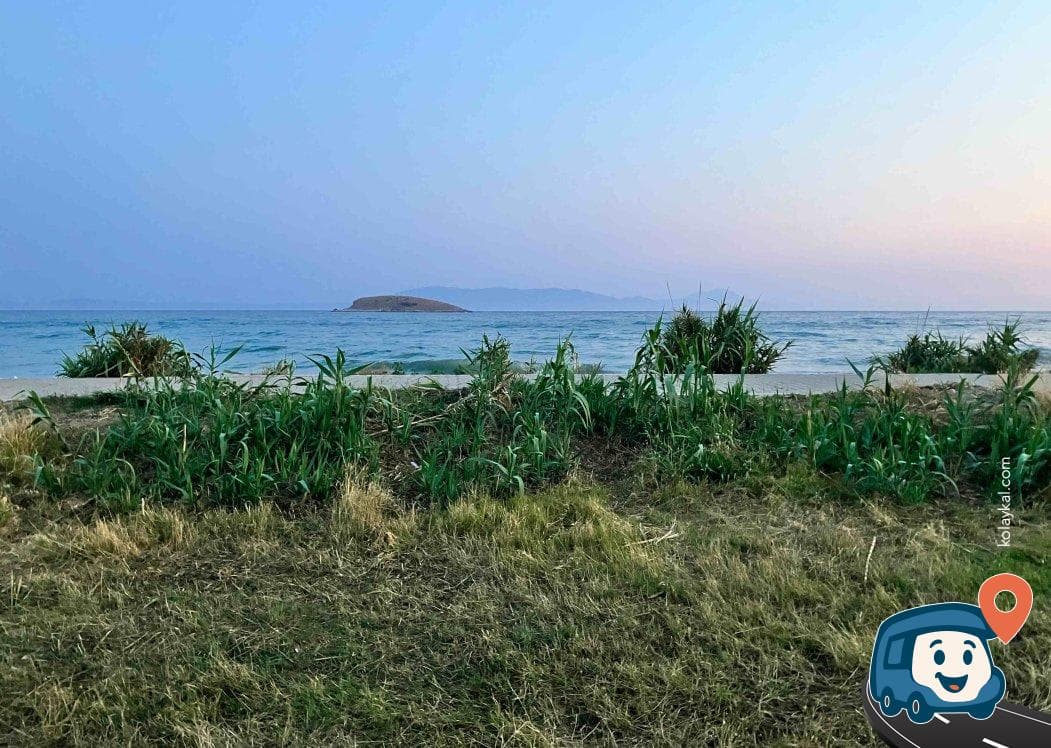 Kuşadası Yakını Kamp Alanı - Menderes, İzmir, foto 2