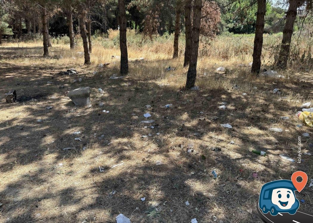 Yeşilırmak Kenarı Kamp Alanı - Suluova, Amasya, foto 2