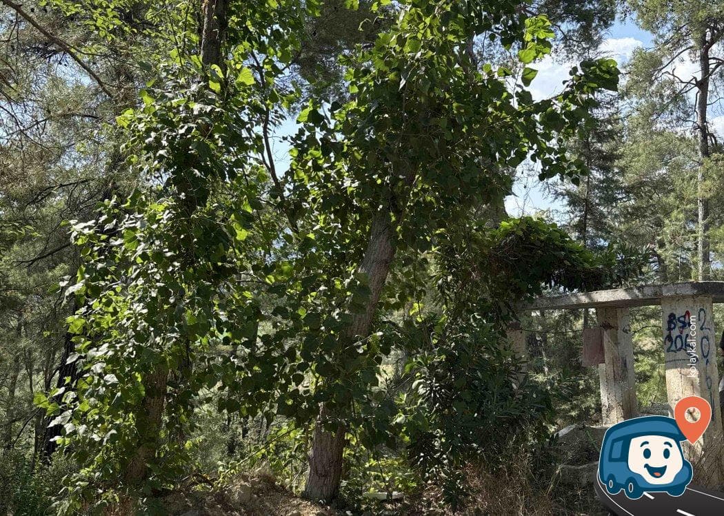 Ücretsiz Su İkmal Noktası - Seydikemer, Muğla, foto 1