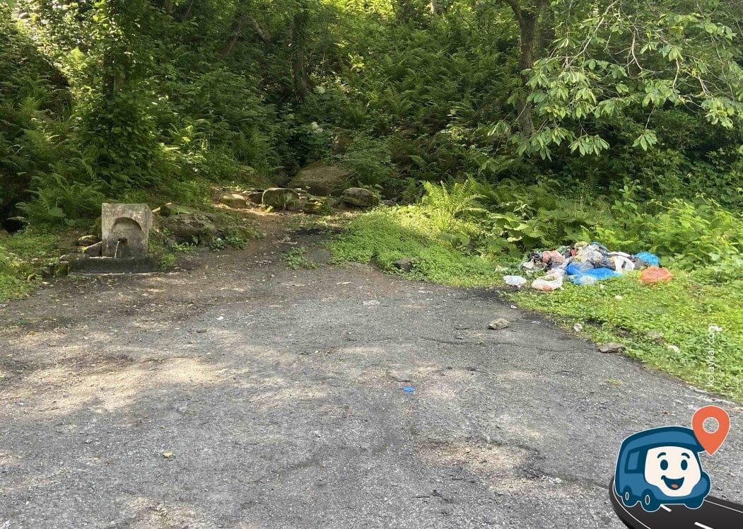 Yol Kenarı Çeşmesi - Borçka, Artvin, foto 4