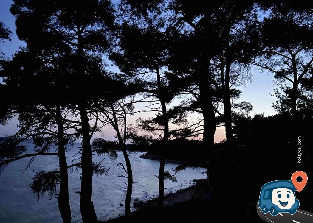 Gelibolu Yarımadası Vahşi Kamp Alanı - Çanakkale, foto 1