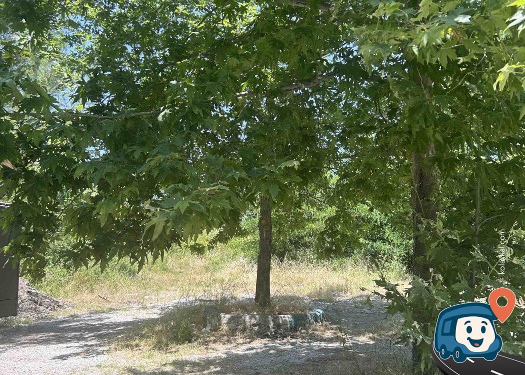 Ağaç Gölgesinde Sakin Otopark ve Kamp Alanı - Alanya, Antalya, foto 2