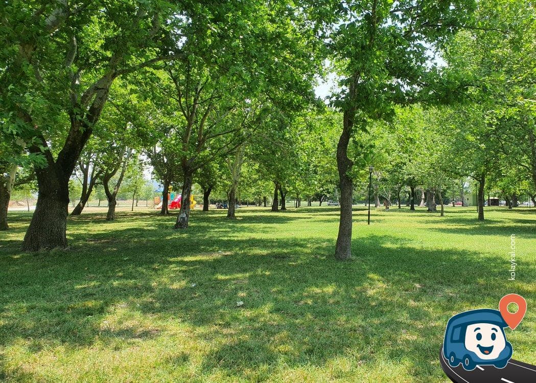 Cevizli Piknik Alanı - Bigadiç, Balıkesir, foto 3