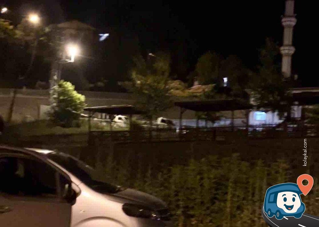 Armutlu Köyü Dere Kenarı Kamp Alanı - Şavşat, Artvin, foto 1
