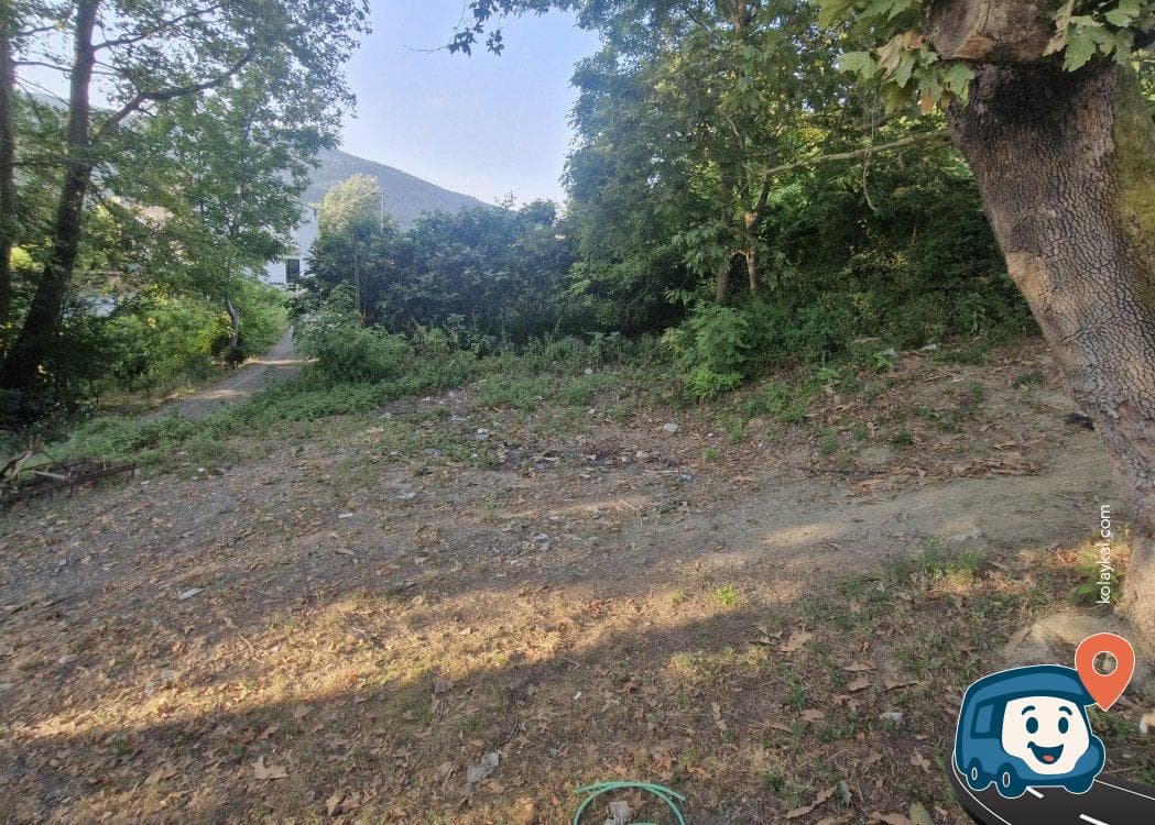 Sakin Kamp Alanı - Atakum, Samsun, foto 2